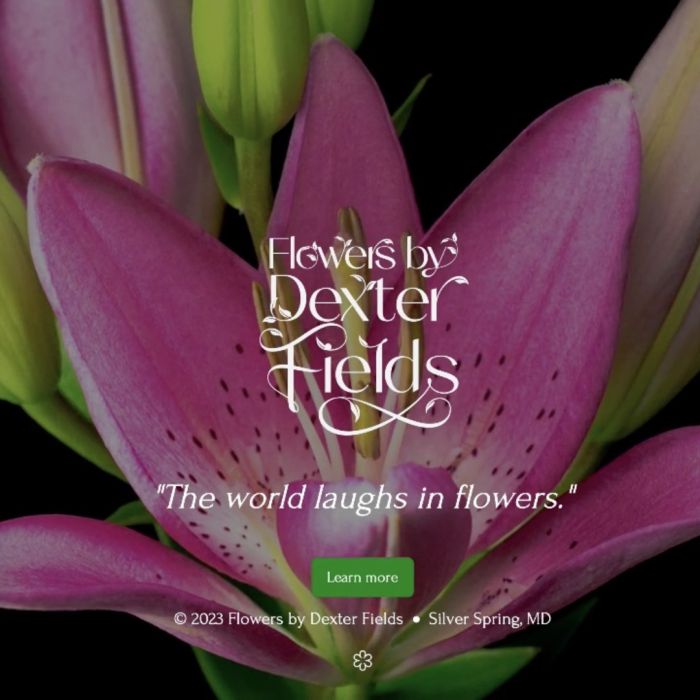 Flowers by Dexter Fields